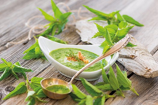 Brennnesselsuppe