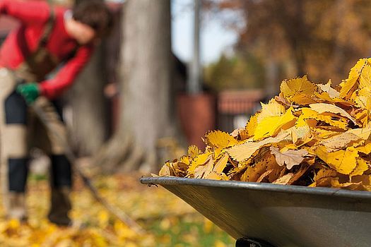 Herbstlaub macht Arbeit. Herbstlaub macht Arbeit.