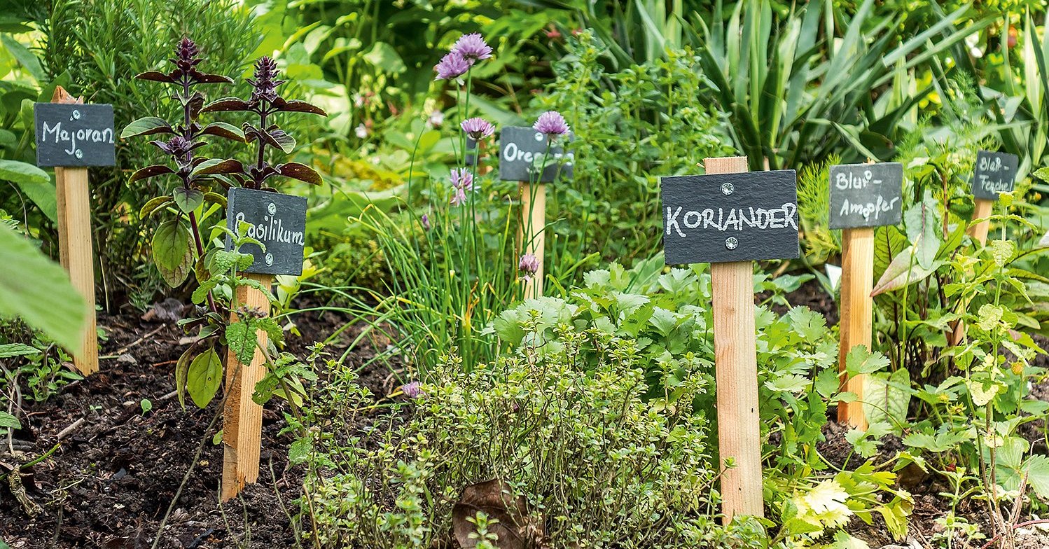 Der Gemüsegarten im April