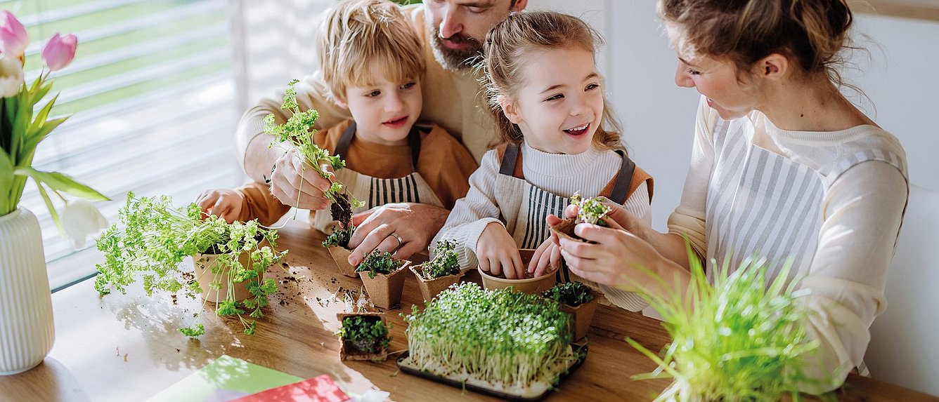 Familie beim Kräuterpflanzen