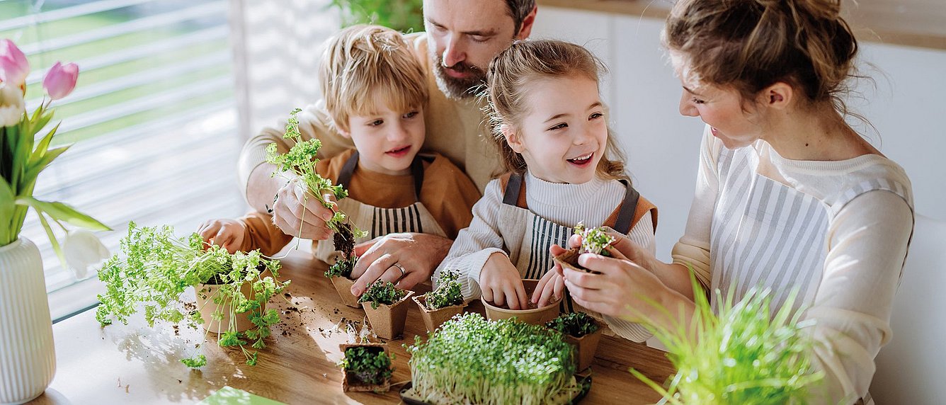 Familie beim Kräuterpflanzen