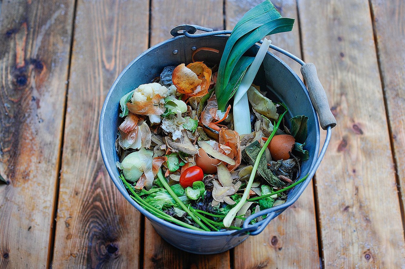 Does Composting Promote Biodiversity?