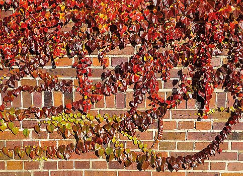 Von der beginnenden Herbstfärbung bis zum Farbenrausch