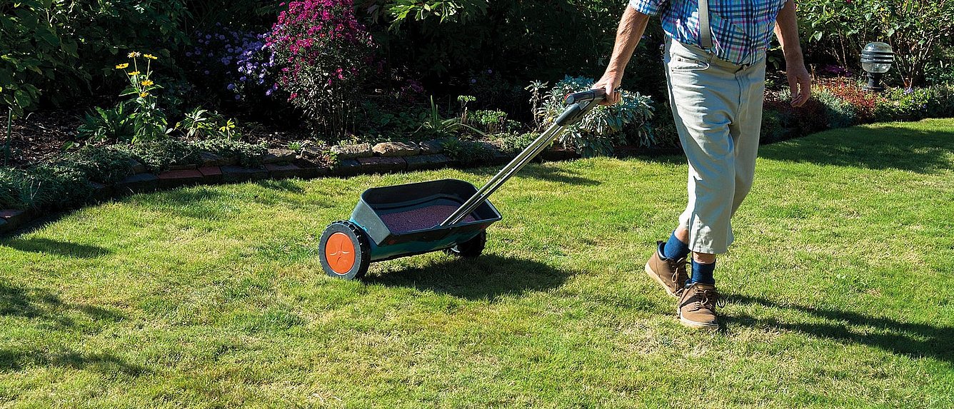 Rasen düngen