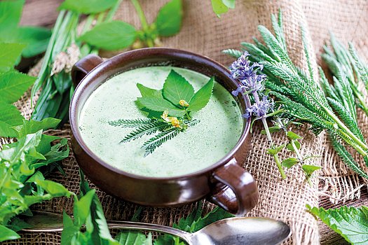 Wildkräuter Suppe