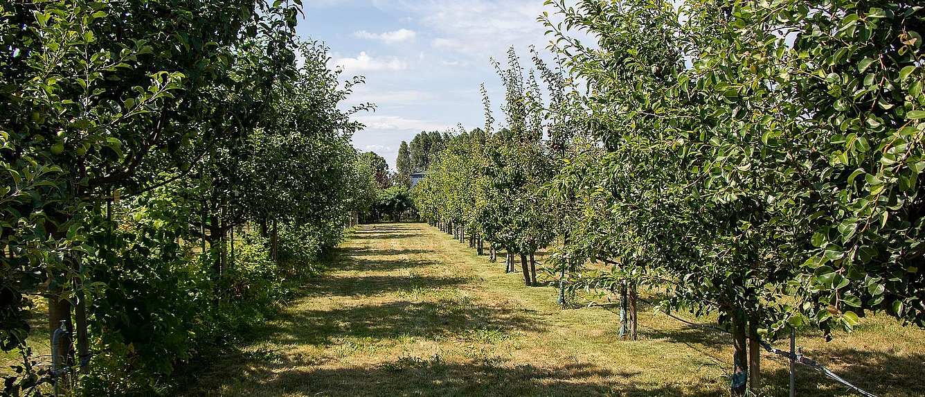 Obstversuchsgarten